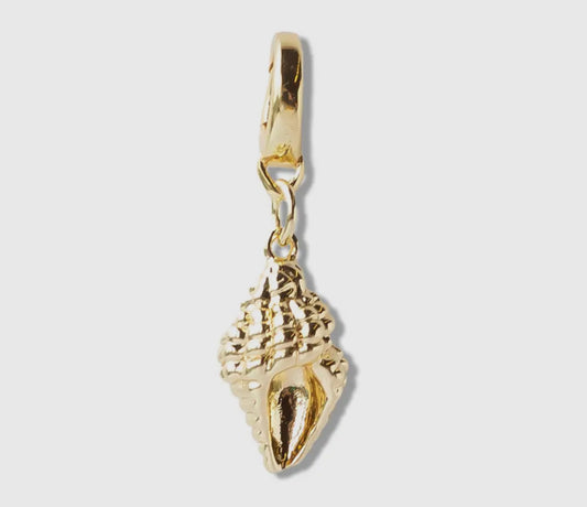 Shell Charm