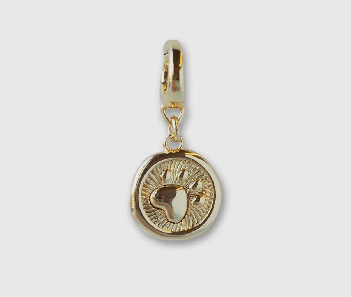Paw Charm