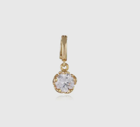 Crystal Charm